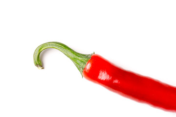 hot chili pepper, isolated and with copyspace