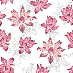Pink lotus seamless white background