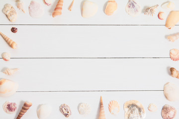  Sea shellfish on white wood  for summer concept ,Copy space your text top view