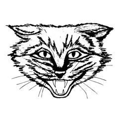 Terrible cat screaming on a white background. vector illustration. black and white.