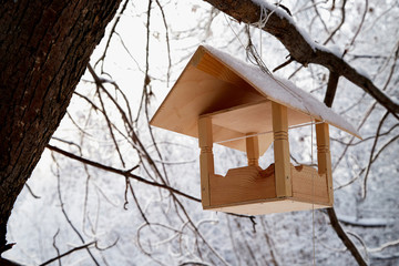 Beautiful feeder for bird in winter forest