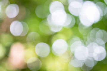 Obraz premium Blur bokeh background and nature.