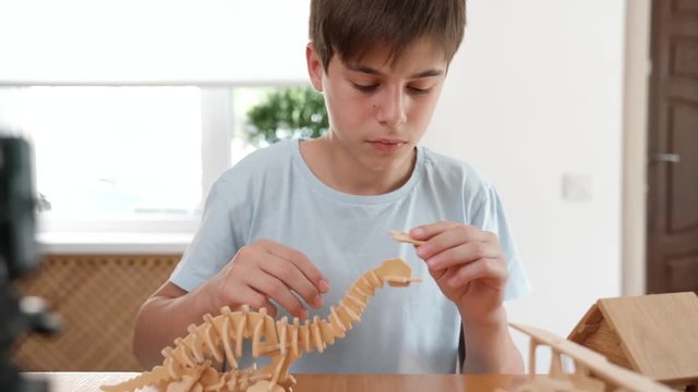 The boy recording a vlog video at home during constructs a dinosaur from wooden 3d puzzle. Very passionate about his work. Studio video shot with very smooth dolly pan of child hobby in 4K definition