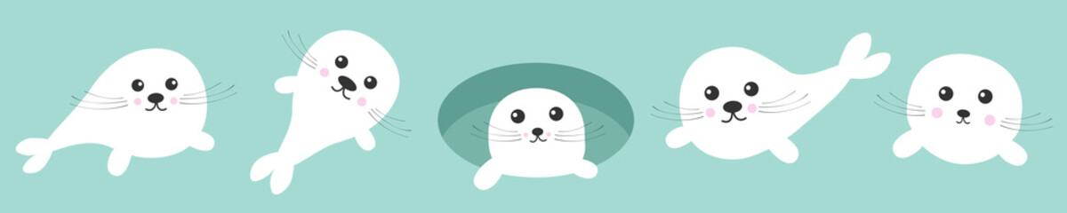 Harp baby seal pup set line. Ice-hole Cute cartoon kawaii funny character. Blue background. Isolated. Flat design.