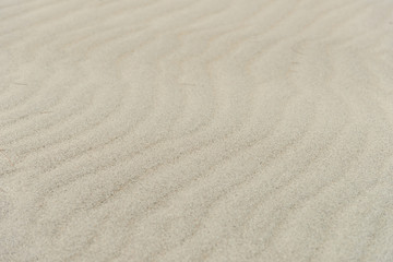Fototapeta na wymiar abstract texture line wave sand on the beach - nature background