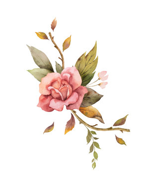 Watercolor vector autumn arrangement with rose and leaves isolated on white background.