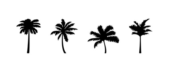 PalmTreeSet_2