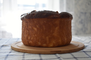 Brioche,  mozzarella brioche,  homebaked bread, bread,  bread