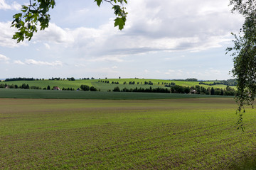 Summer landscape with trees, fields and hills. Saxony. Germany