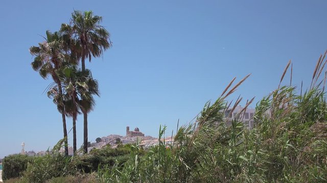 Mediterranean coastal town of Altea in Spain seen through a bush of giant reed (arundo donax), some other plants and a few palm trees with a clear blue sky in the background.