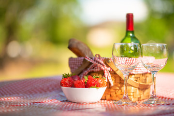 picnic on the nature. romantic dinner on the nature. rest on vacation or weekend