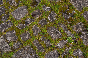 Texture paving stones with grass