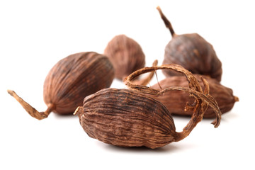 Black cardamom on a white background 