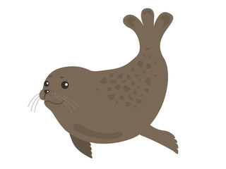 アザラシ