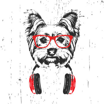 Portrait of Yorkshire Terrier Dog with glasses and headphones. Hand-drawn illustration. T-shirt design. Vector