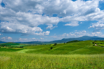 Picturesque Tuscany landscape with rolling hills, valleys, sunny fields, cypress trees along winding rural road, houses on a hill. Tourist visit in Tuscany