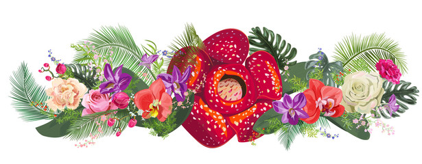 Floral tropical horizontal border: orchids, roses, carnations, rafflesia flowers, leaves coconut palm, monstera, twig, berries, white background. Digital draw, watercolor style, panoramic view, vector