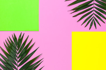 Fototapeta na wymiar Tropical palm leaves on bright yellow green pink background. Flat lay, top view, copy space. Summer background, nature. Creative minimal background with tropical leaves. Leaf pattern