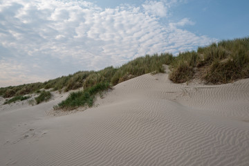 dünenlandschaft in dänemark