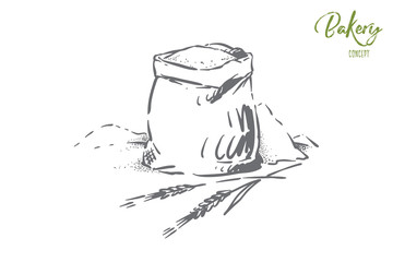 Bread, dough, pastry ingredient, cereal grains harvest, powder heap, rye, barley spikes, bakehouse, bakery