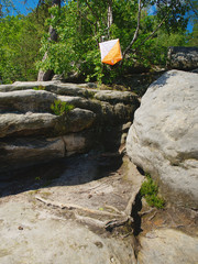 Flag marks checking point for orienteering  run hangs on tree