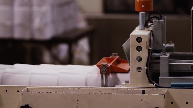Paper Rolls on Conveyor in Paper Production Factory.