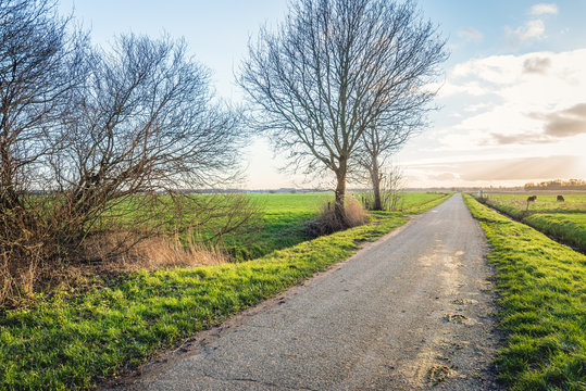 Country road in a Dutch polder landscape in the winter season. The photo was taken in the Binnenpolder near the village of Terheijden, North Brabant.