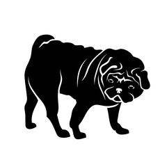 Pug dog isolated - vector illustration - Vector