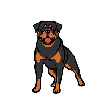 Rottweiler dog - isolated vector illustration - Vector