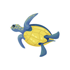 Blue turtle with a yellow belly and spots. Vector illustration on white background.