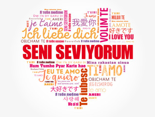 Fototapeta premium Seni seviyorum (I Love You in Turkish) love heart word cloud in different languages of the world