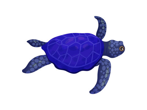 Dark blue turtle. Vector illustration on white background.