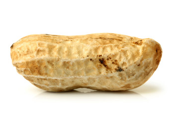 Peanuts on white background