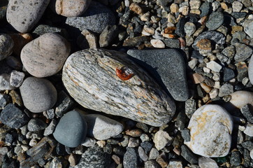 Baikal, beach, summer, nature, stones, mountains, water, forest.