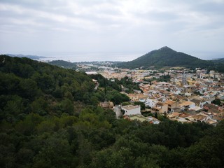 Fototapeta premium rrem_vivid