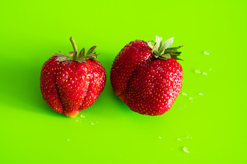Red ripe berry of strawberry on green Matt background