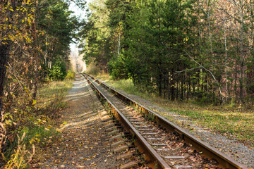 Obraz premium Railway in the autumn forest, sunny weather