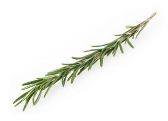 Fototapeta premium Fresh rosemary isolated on white background