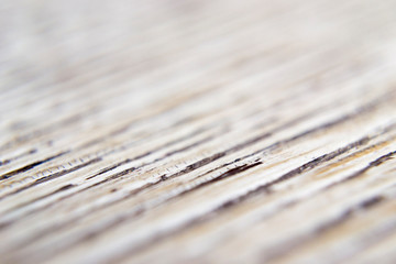 Obraz premium TEXTURA