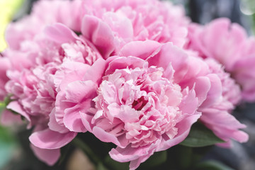 bouquet of pink peonies