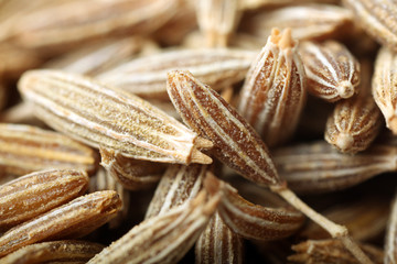 Fototapeta premium Cumin seeds texture, full frame background. Second most popular spice in the world after black pepper.