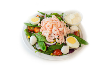 Shrimp Salad with Egg