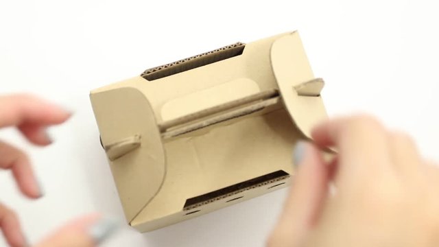 girl open paper box and face adorable African Pygmy dormouse inside