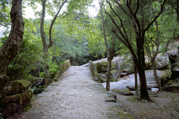 Ancient Roman bridge in 