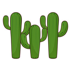 set of cactus plants isolated icon