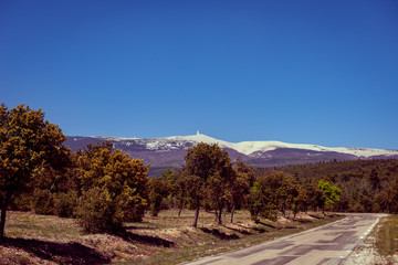 Looking towards Mont Ventoux