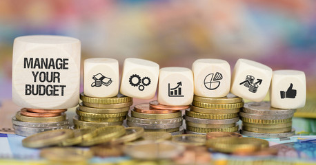 Manage your Budget