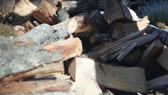 Man Picks up Logs from a Pile