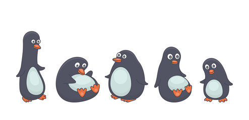 Set of Penguins. isolated on white background