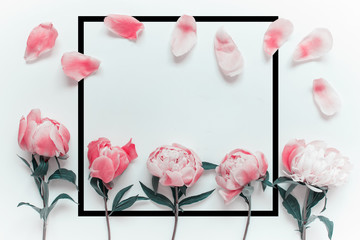 Red colored peony flowers, petals and large square black border frame with copy blank space on white background.